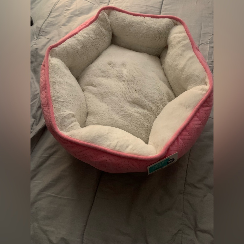 Cat supply bundle